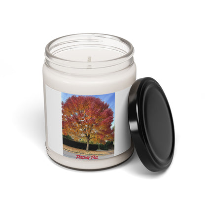 Feeling Fall Scented Soy Candle, 9oz