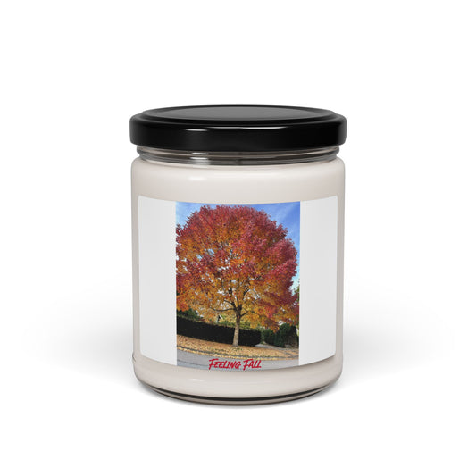Feeling Fall Scented Soy Candle, 9oz